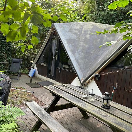 Chalet Scandinave Avec Sauna Ir - In The Woods Gesves Exterior foto