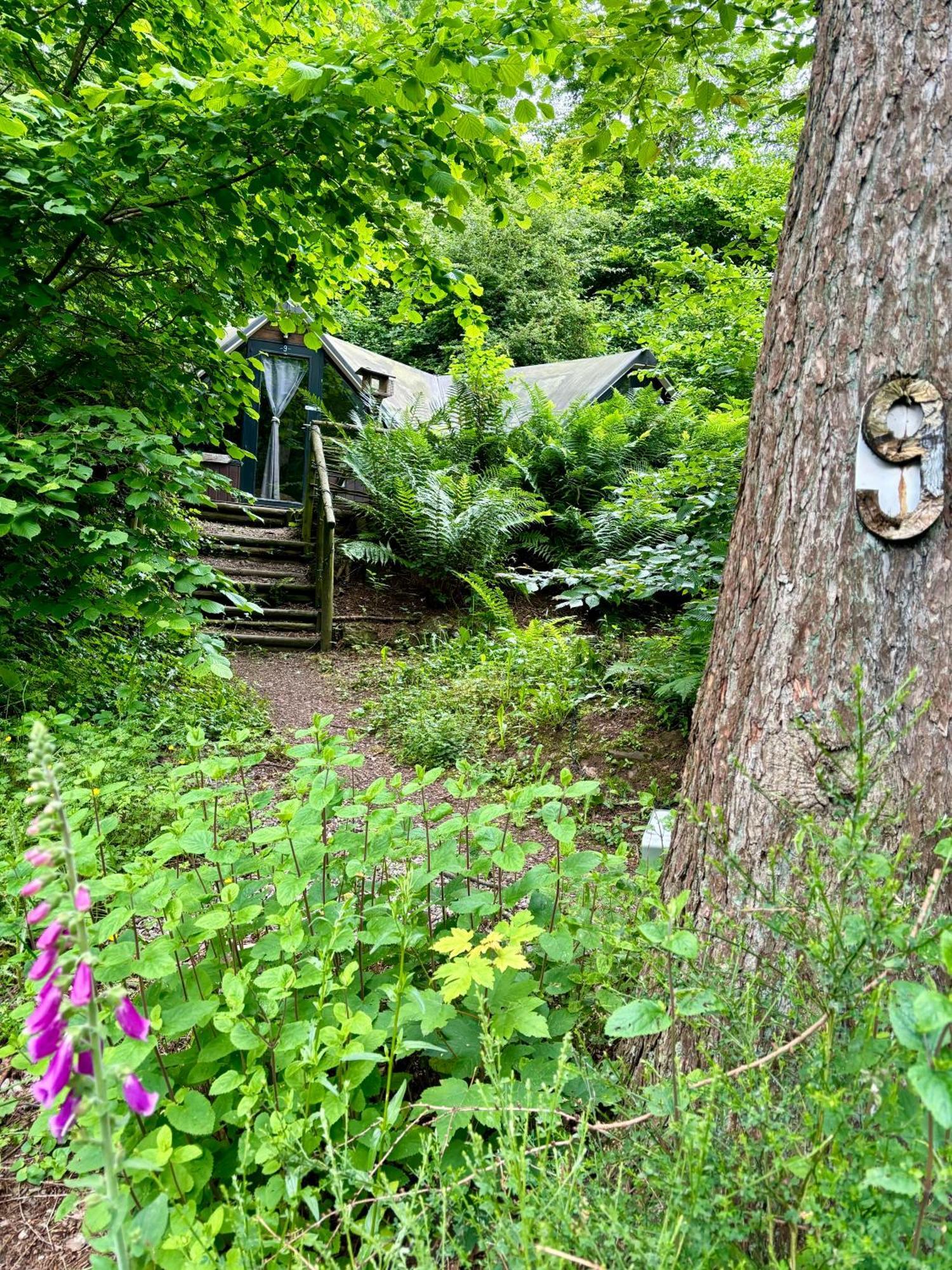 Chalet Scandinave Avec Sauna Ir - In The Woods Gesves Exterior foto